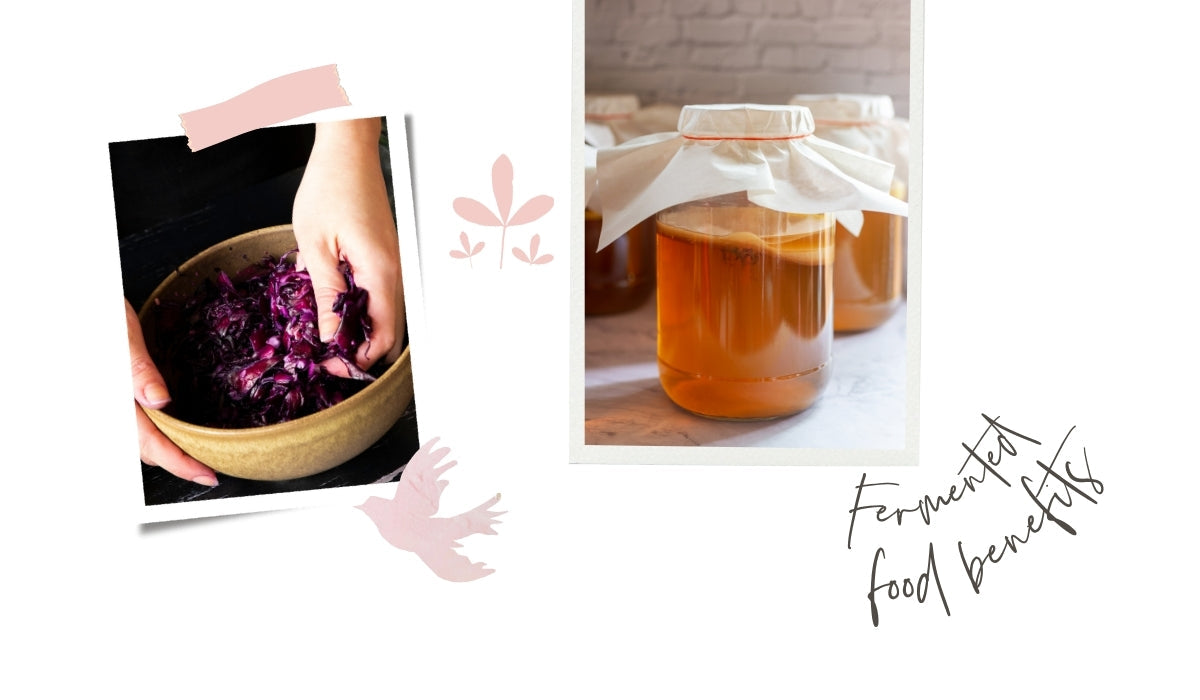 The Timeless Benefits of Fermented Foods for Gut Health