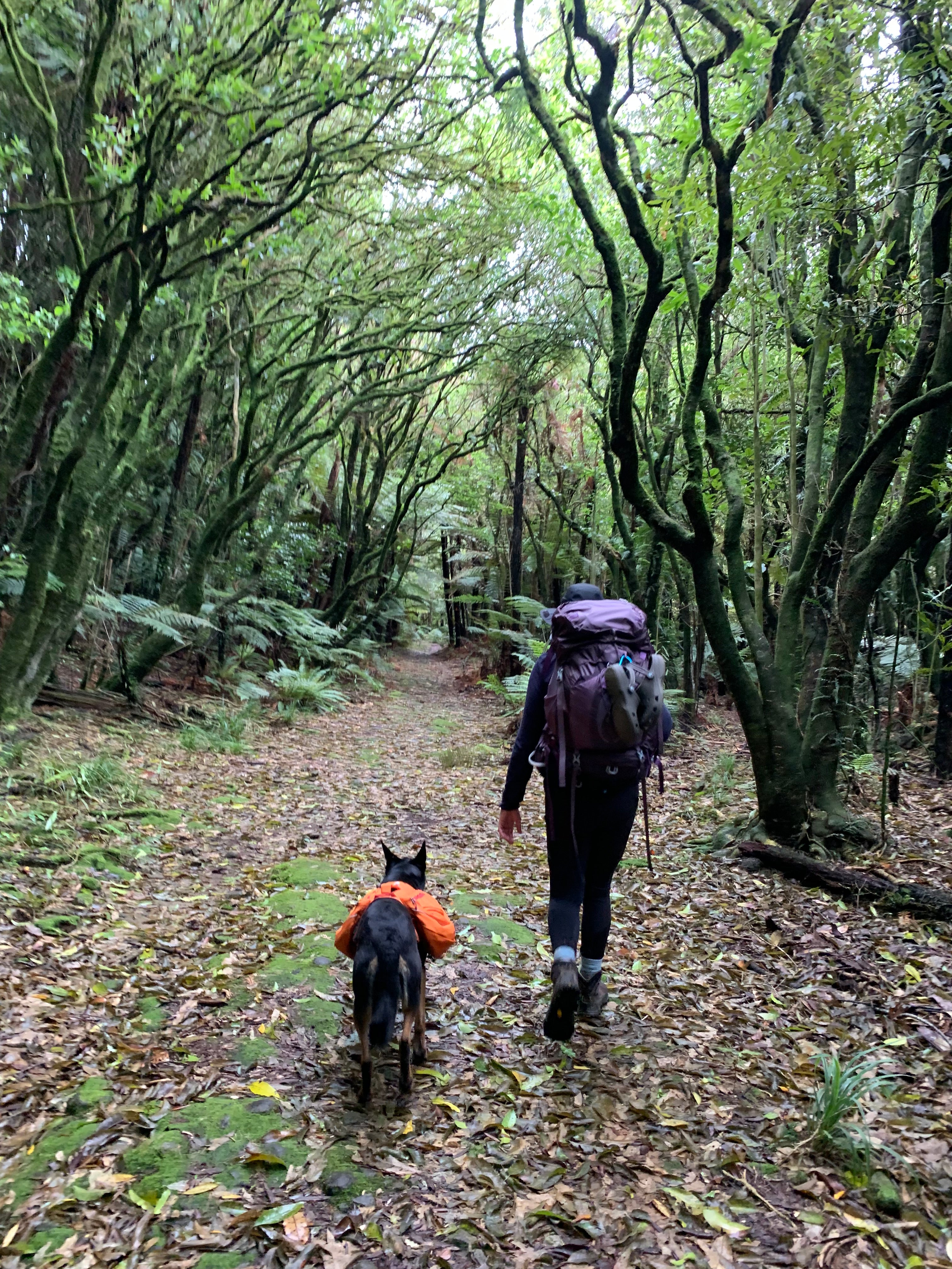 The Three Day Effect.