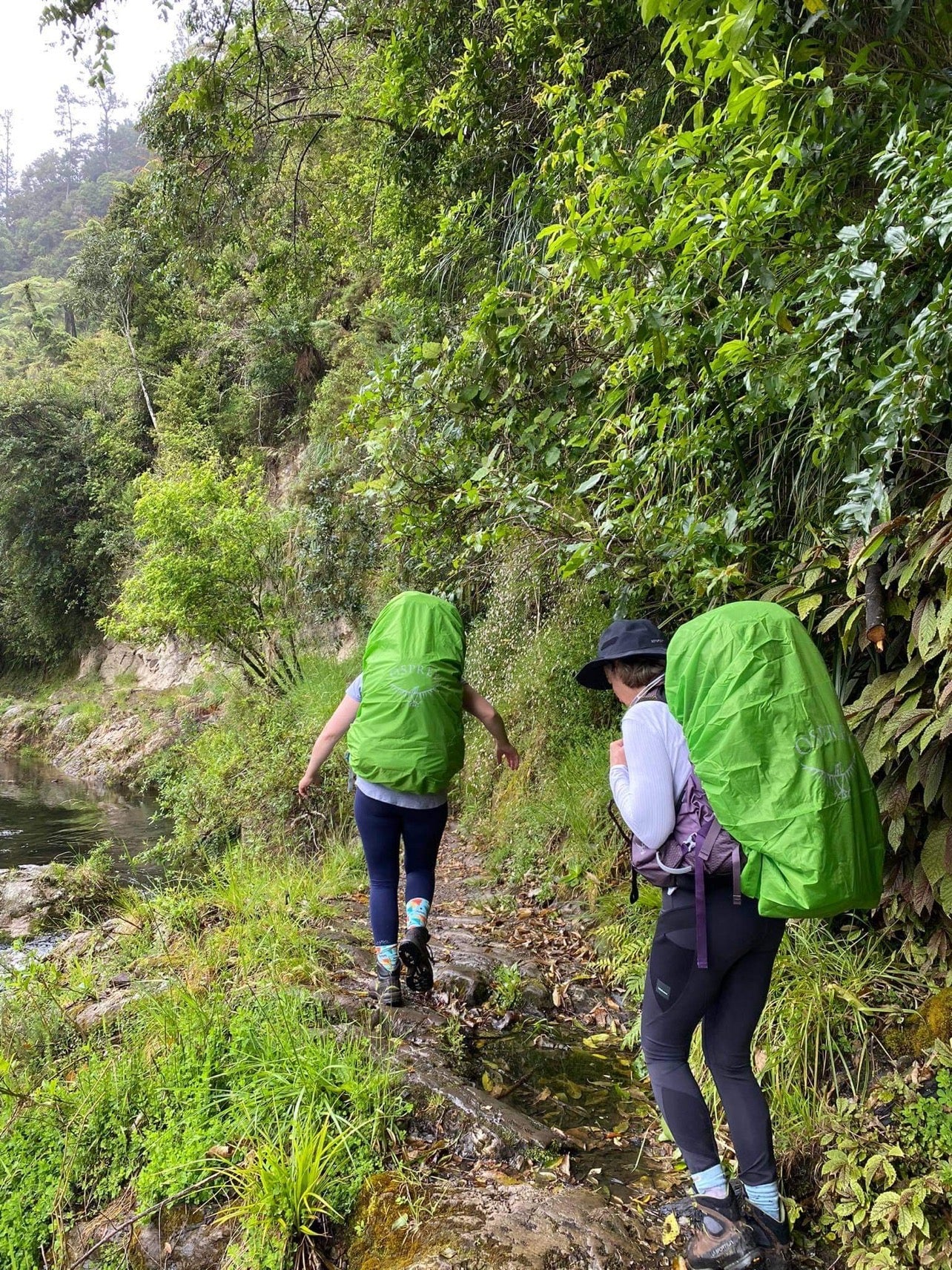 How nature boosts endorphins - your happy hormones!